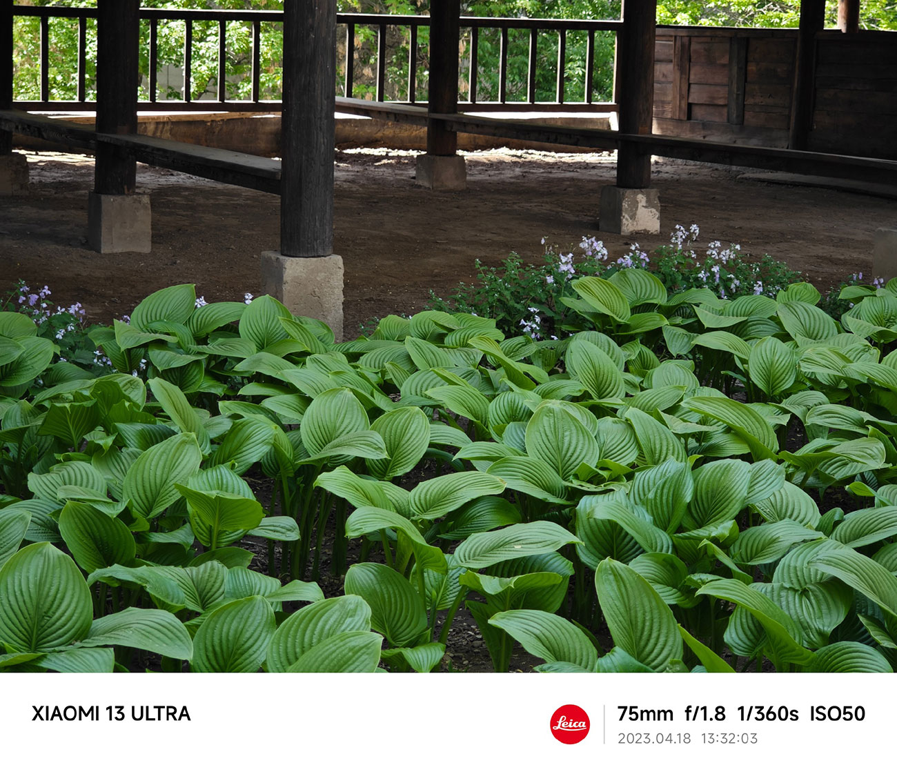 Примеры фото на камеру Xiaomi 13 Ultra