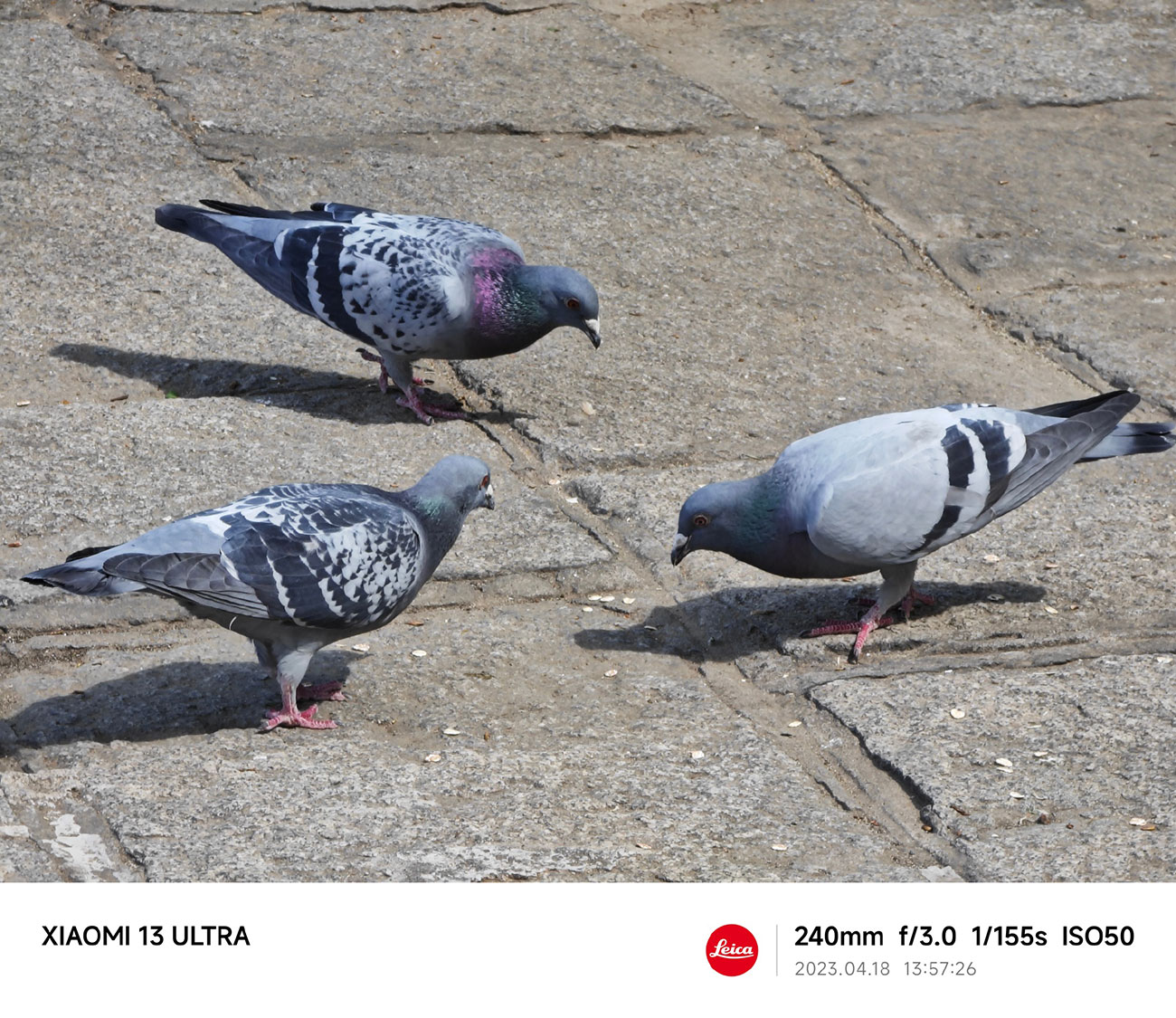 Примеры фото на камеру Xiaomi 13 Ultra